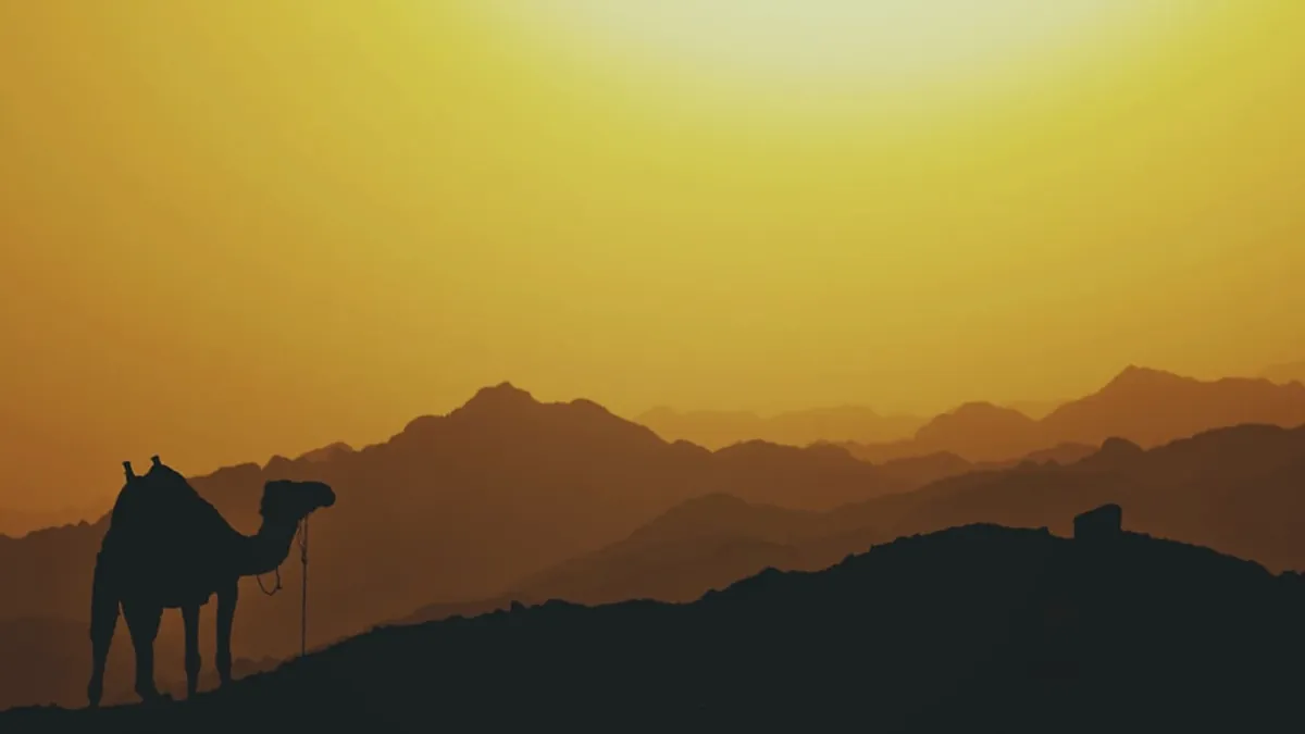 الجمل — رسم توضيحي إسلامي